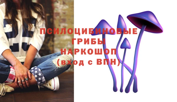 индика Балахна