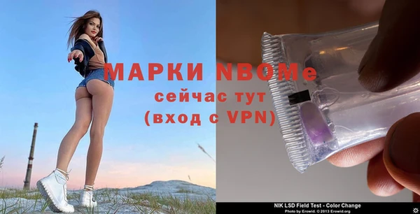 индика Балахна