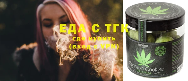 индика Балахна