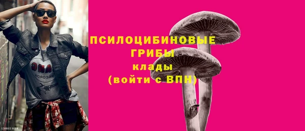 индика Балахна