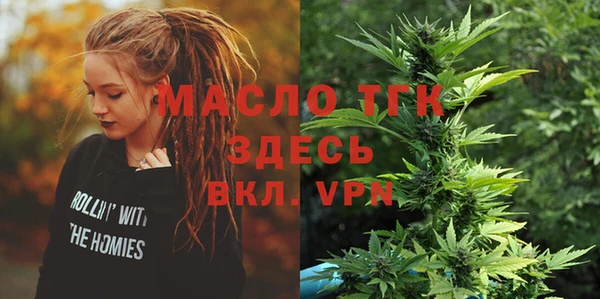 индика Балахна